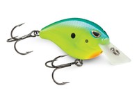 Arashi silent square