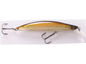 Flat minnow