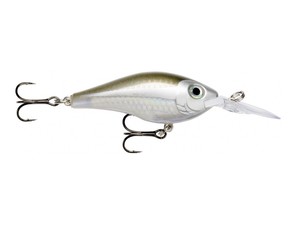 MaxRap Fat Shad