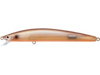 TD minnow